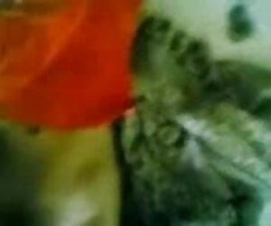 অনুসরণ করুন অনুসরণ বাংলা ছোটদের সেক্স ভিডিও করা কর্মসমূহ: অনুসরণ না করা অবরুদ্ধ অবরোধ মুক্ত মুলতুবি বাতিল